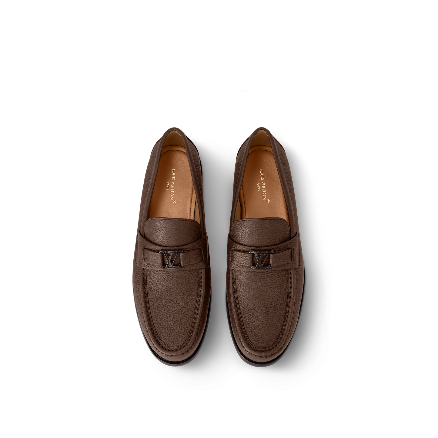 Mocassin Major