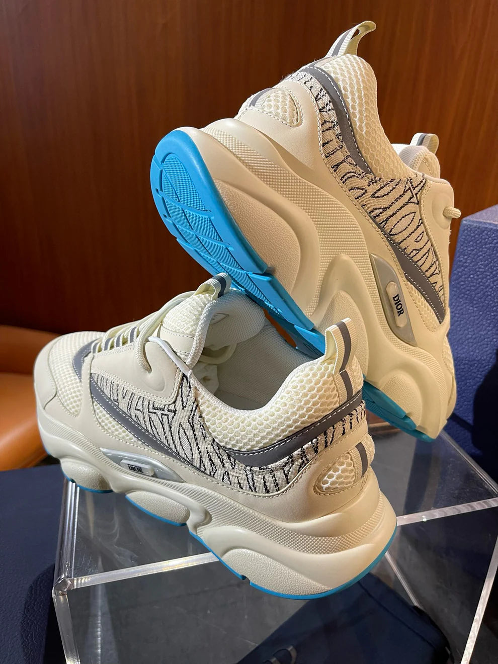 Dior B22