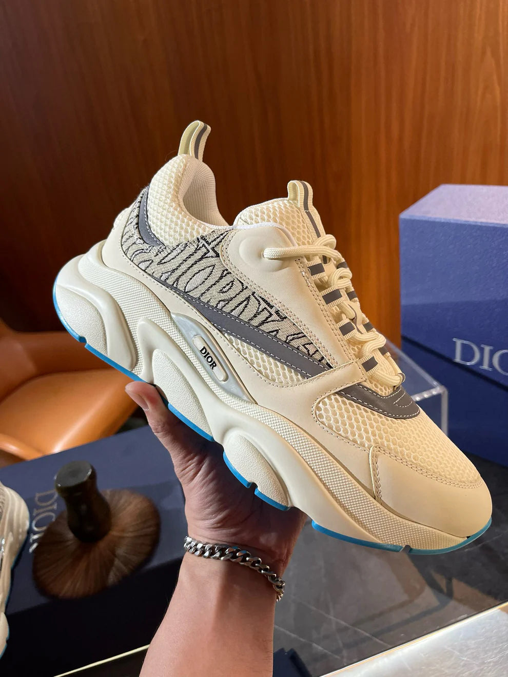Dior B22