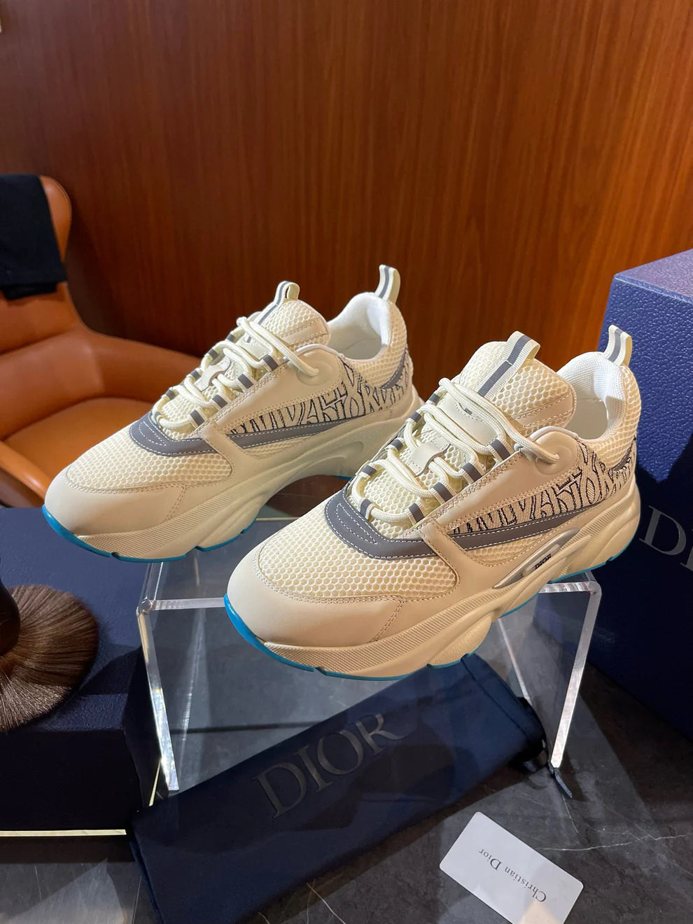 Dior B22