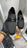Mocassin Major